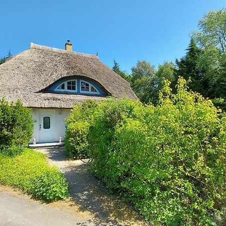 Wiek auf Rügen Ferienwohnung Im Uhlenhuus מראה חיצוני תמונה